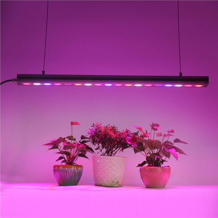 led bar grow lights